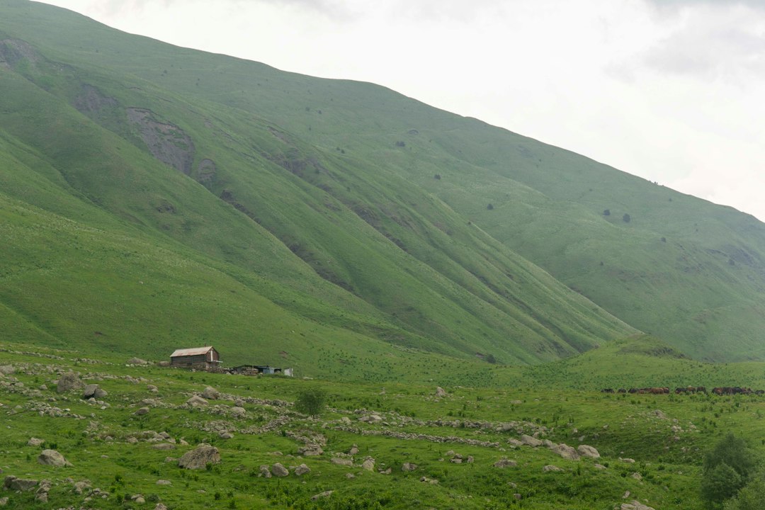 نگهداری پیراهن کتان مردانه